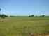 Fazendas � venda - rural urbano - julios dna